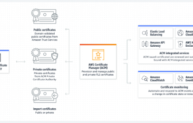 SSL Sertifikası Nedir? – SSL/TLS Sertifikasına Ayrıntılı Bakış