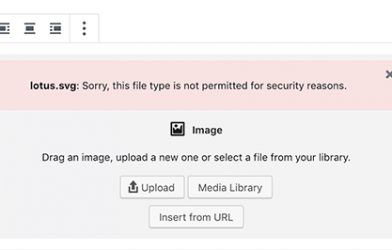 WordPress SVG Görsel Ekleme Nasıl Yapılır?
