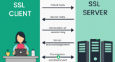 SSL Certificates – Secure Your Website