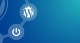 WordPress nedir? A’dan Z’ye WordPress
